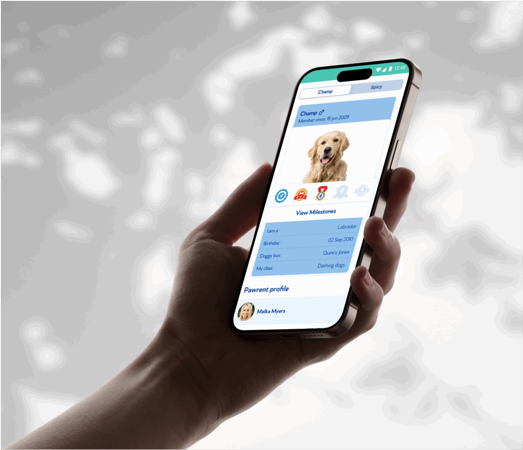 Bruce's Doggy Day Care case study — A leading UK dog day care operator.